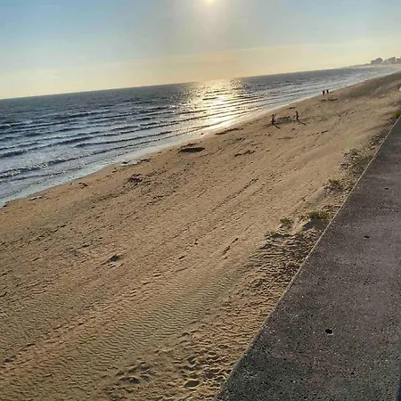 Lhorizon Bleu *